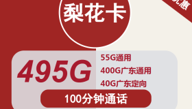 广东省份限定联通套餐30元包400G广东通用+55G全国通用+40G定向+100分钟 广东省份限定联通套餐30元包400G广东通用+55G全国通用+40G定向+100分钟